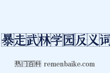 暴走武林学园反义词是什么意思的图片